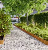 VidaXL Gazonranden 50 stuks 15x103 cm flexibel cortenstaal