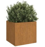 VidaXL Plantenbakken 2 st 32x30x29 cm cortenstaal