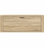 VidaXL Wandschoenenkast 100x35x38 cm bewerkt hout sonoma eiken