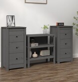 VidaXL Dressoirs 2 st 40x35x80 cm massief grenenhout grijs