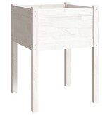 VidaXL Plantenbakken 2 st 50x50x70 cm massief grenenhout wit