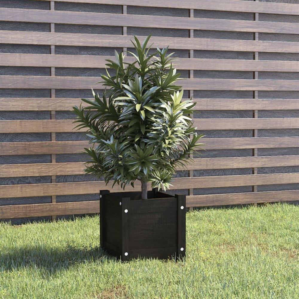 VidaXL Plantenbak 31x31x31 cm massief grenenhout zwart