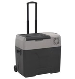 VidaXL Koelbox met wielen en handvat 50 L polypropeen zwart en grijs
