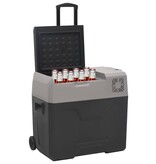 VidaXL Koelbox met wielen en handvat 50 L polypropeen zwart en grijs