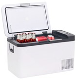 VidaXL Koelbox met handvat 18 L PP & PE zwart en wit