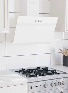 VidaXL Wandafzuigkap 60 cm staal en gehard glas wit