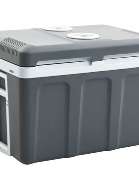 VidaXL Koelbox thermo-elektrisch draagbaar 12 V 230 V E 40 L