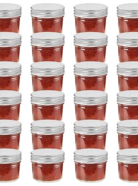 VidaXL Jampotten met zilverkleurige deksels 24 st 110 ml glas
