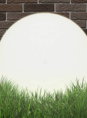 VidaXL LED-bollamp rond 50 cm PMMA