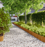 VidaXL Gazonranden 10 stuks 20x103 cm flexibel cortenstaal