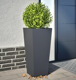 VidaXL Plantenbakken 2 st 35x35x75 cm staal antracietkleurig