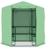 VidaXL Tuinkas met schappen 227x223 cm staal