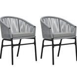 VidaXL Tuinstoelen 2 st PE-rattan antracietkleurig