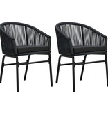 VidaXL Tuinstoelen 2 st PE-rattan zwart