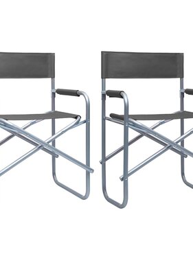 VidaXL Regisseursstoelen 2 st staal grijs