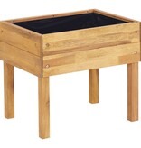 VidaXL Plantenbak verhoogd 50x40x45 cm massief acaciahout
