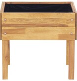 VidaXL Plantenbak verhoogd 50x40x45 cm massief acaciahout