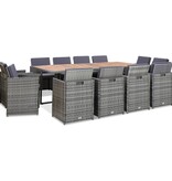 VidaXL 13-delige Tuinset met kussens poly rattan antracietkleurig