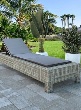 VidaXL Ligbed met kussen poly rattan grijs
