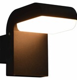 VidaXL LED-buitenwandlamp 9 W ovaal zwart
