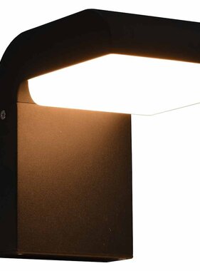 VidaXL LED-buitenwandlamp 9 W ovaal zwart