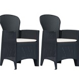 VidaXL Tuinstoelen 2 st met kussen rattan-look kunststof antraciet