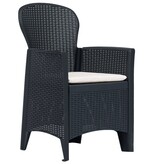 VidaXL Tuinstoelen 2 st met kussen rattan-look kunststof antraciet