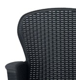 VidaXL Tuinstoelen 2 st met kussen rattan-look kunststof antraciet