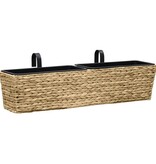 VidaXL Plantenbakken 2 st waterhyacint