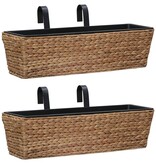 VidaXL Plantenbakken 2 st waterhyacint