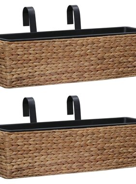 VidaXL Plantenbakken 2 st waterhyacint