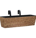 VidaXL Plantenbakken 2 st waterhyacint