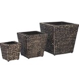 VidaXL Plantenbakken verhoogd 3 st waterhyacint bruin