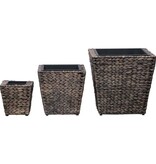 VidaXL Plantenbakken verhoogd 3 st waterhyacint bruin