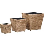 VidaXL Plantenbakken verhoogd 3 st waterhyacint