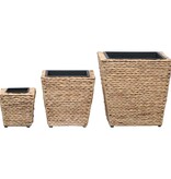 VidaXL Plantenbakken verhoogd 3 st waterhyacint