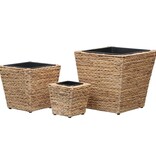 VidaXL Plantenbakken verhoogd 3 st waterhyacint