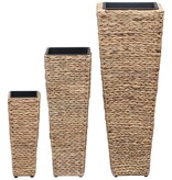 VidaXL Plantenbakken verhoogd 3 st waterhyacint bruin