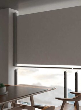 VidaXL Tuinscherm uittrekbaar 160x300 cm grijs