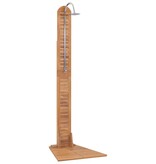 VidaXL Buitendouche 70x75x204 cm massief teakhout
