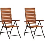 VidaXL 2 st Tuinstoelen verstelbaar massief acaciahout