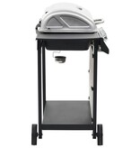 VidaXL Gasbarbecue met 6 kookzones roestvrij staal zilverkleurig