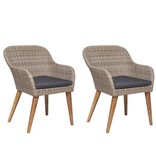 VidaXL Tuinstoelen 2 st met kussens poly rattan bruin
