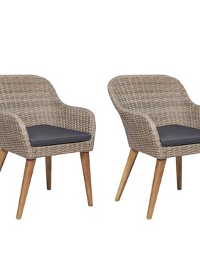 VidaXL Tuinstoelen 2 st met kussens poly rattan bruin