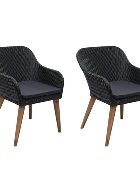 VidaXL Tuinstoelen 2 st met kussens poly rattan zwart