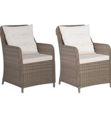 VidaXL Tuinstoelen 2 st met kussens poly rattan bruin