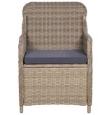 VidaXL Tuinstoelen 2 st met kussens poly rattan bruin