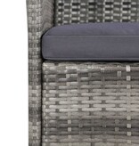 VidaXL 11-delige Tuinset met kussens poly rattan grijs