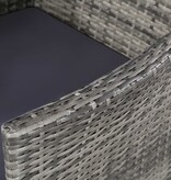 VidaXL 11-delige Tuinset met kussens poly rattan grijs