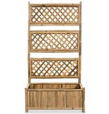 VidaXL Plantenbak verhoogd met rek 70 cm bamboe